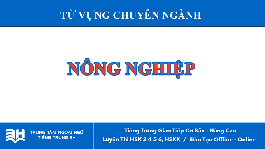 trung tam tieng trung 3h dang blog 11