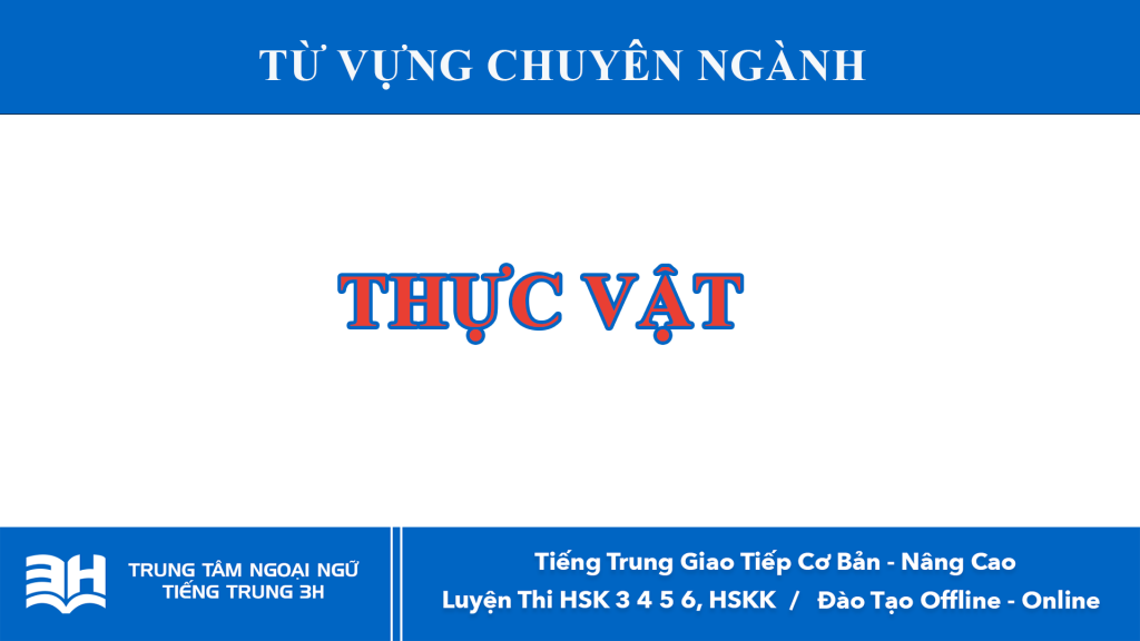 trung tam tieng trung 3h dang blog 23