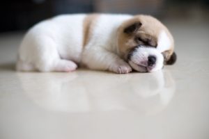 trung tam tieng trung 3h yct1 03