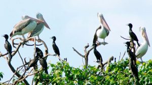 trung tam tieng trung 3h yct1 07